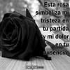 tere10josse